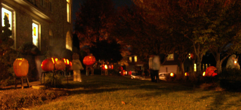 Pumpkin Carving: Display 2008 - 2