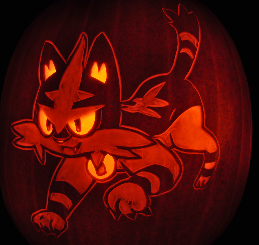 Torracat PokemonGo