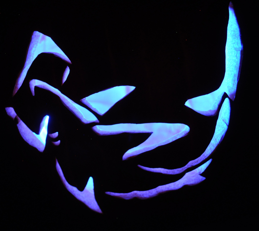 Hammerhead shark
